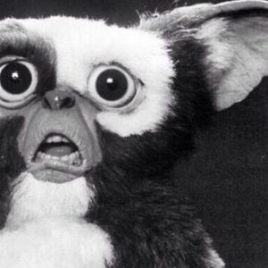 Meet your Posher, Marci